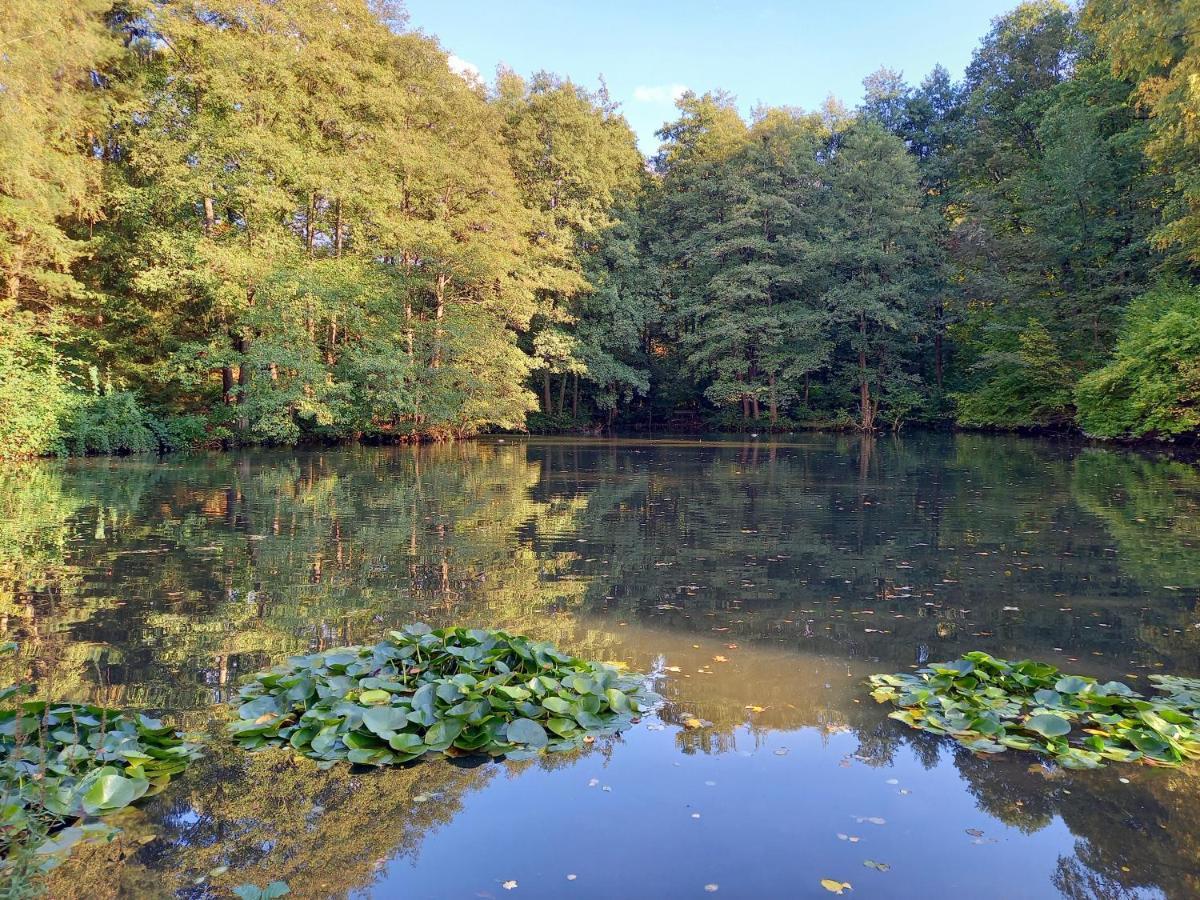 Ferienwohnung Am Waldsee Mit Schwimmbad Gernsbach Εξωτερικό φωτογραφία