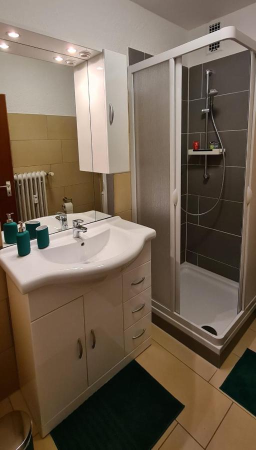 Ferienwohnung Am Waldsee Mit Schwimmbad Gernsbach Εξωτερικό φωτογραφία