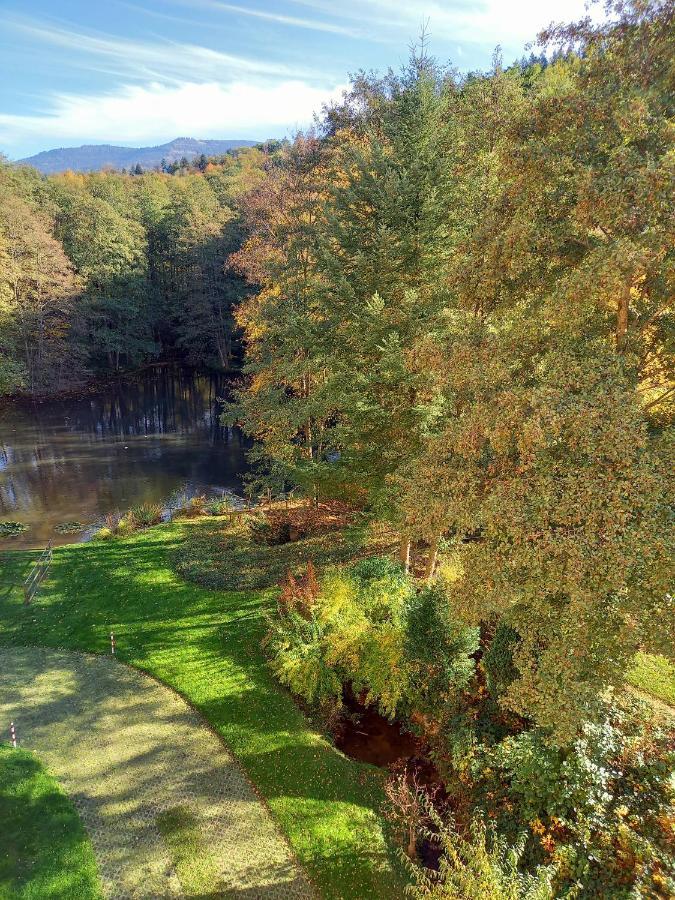 Ferienwohnung Am Waldsee Mit Schwimmbad Gernsbach Εξωτερικό φωτογραφία